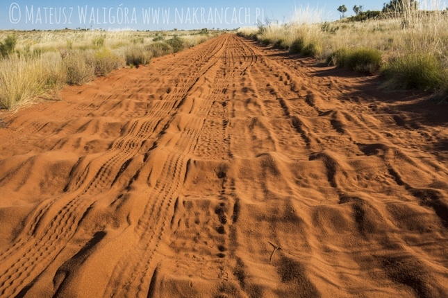 Walkabout 6