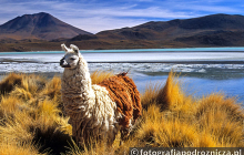 Krajobrazy Altiplano