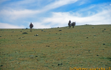 Przez mongolski step